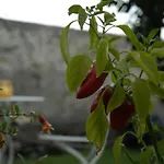 Alojamento de Acomodação e Pequeno-almoço Castello D'alcontres 3 Stelle