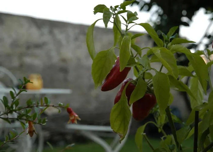 Couette-café Castello D'alcontres 3 Stelle